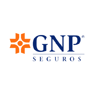 GNP